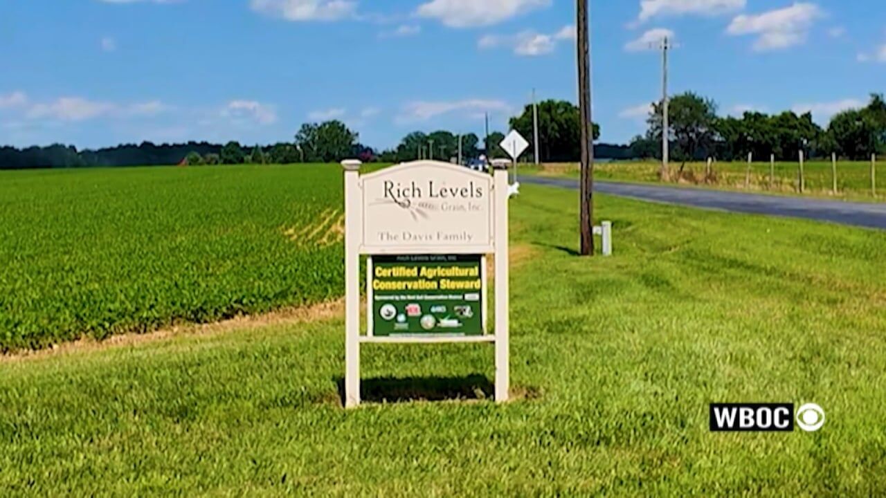 Farming Our Future: Rich Level Grains